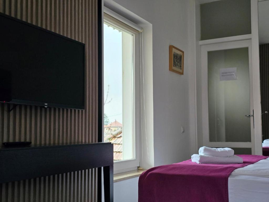 Televiisor ja/või meelelahutuskeskus majutusasutuses Hotel Hecco