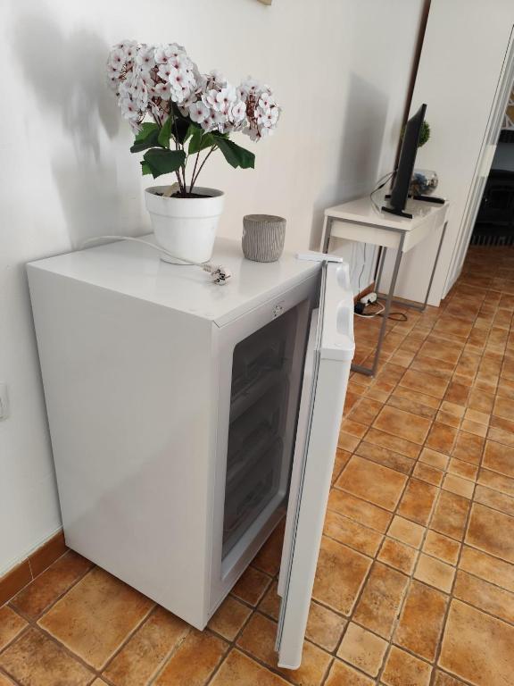 Zdjęcie z galerii obiektu Studio Tropical w mieście Cúllar-Vega