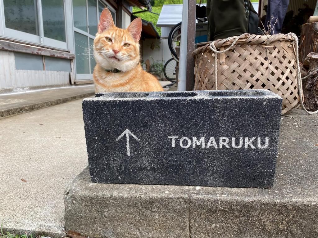 Domácí mazlíčci ubytovaní s hosty v ubytování ゲストハウス コワーキングスペース kuzume Base TOMARUKU