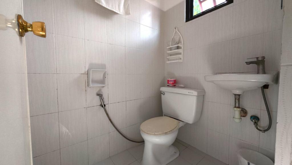 Bagno di FreeDive Inn