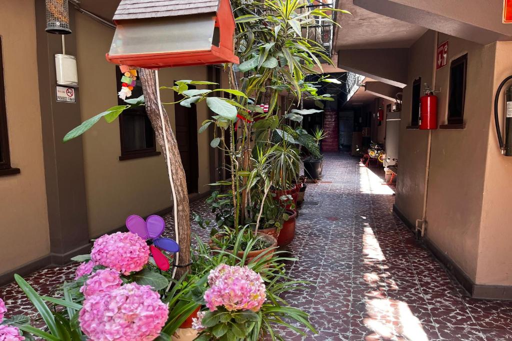 Zahrada ubytování OYO Hotel Linda