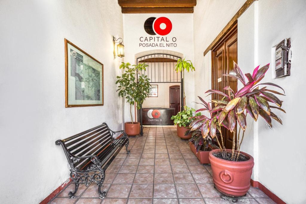 Fotografie z fotogalerie ubytování Capital O El Nito Posada v destinaci Oaxaca