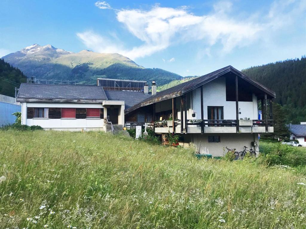 Příroda nedaleko apartmánu