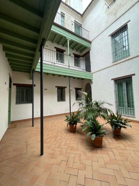 dziedziniec budynku z doniczkami w obiekcie Komodo Gran Poder - Penthouse with Private Pool and Cozy twin bedroom central Apartment w Sewilli