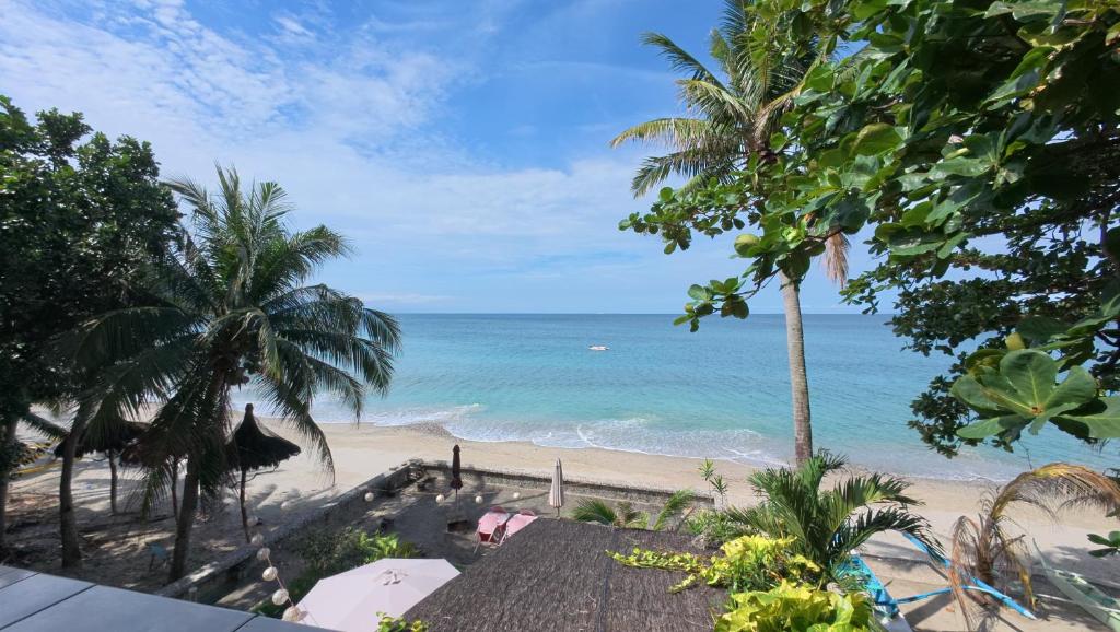 vista sulla spiaggia da un resort di FreeDive Inn a San Isidro