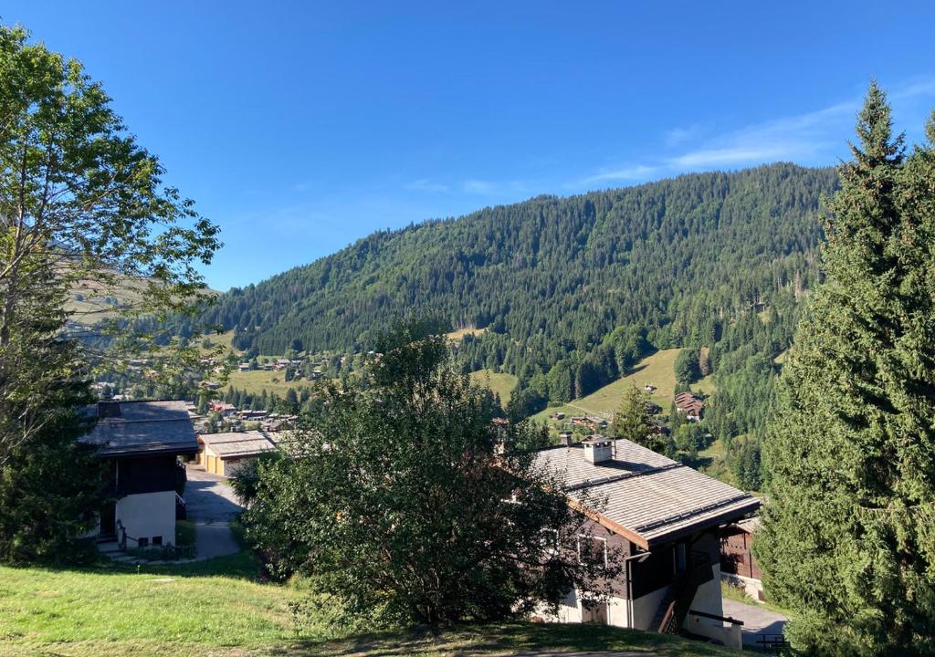 - une vue sur la montagne avec ses arbres et ses maisons dans l'établissement Appartement 6-7 pers, proche activités et loisirs d'été, à La Clusaz
