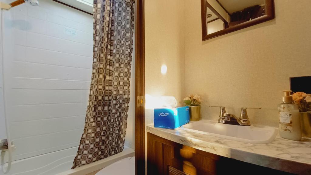 Koupelna v ubytování Rehla Rv Camper Van Standard Package