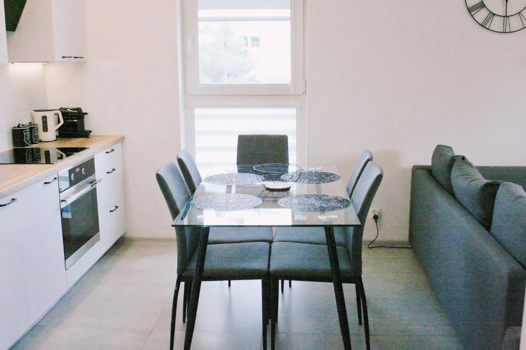 Kuchyňa alebo kuchynka v ubytovaní Apartamenty Feniks Toruń, Starówka, Centrum -Prywatny parking, Balkon, Smart TV