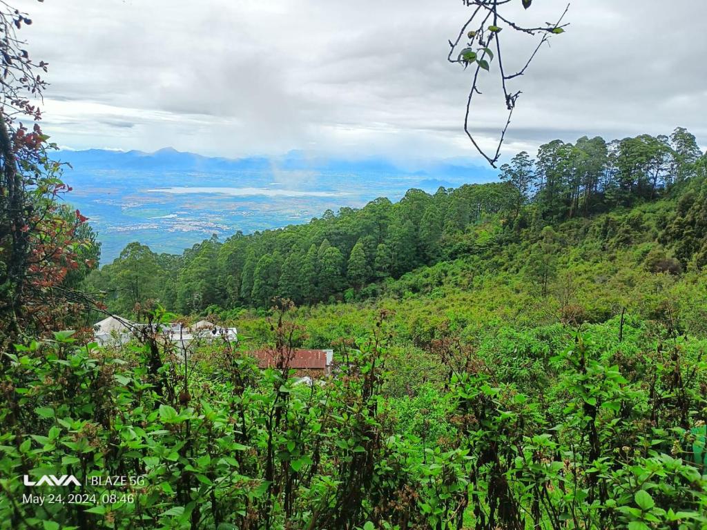 vista su una collina con alberi di The Kodai Fantasy a Kodaikānāl