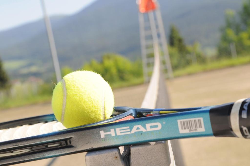 Tenis a/nebo squash v ubytování Sonnenhof Resort Bayerischer Wald nebo okolí