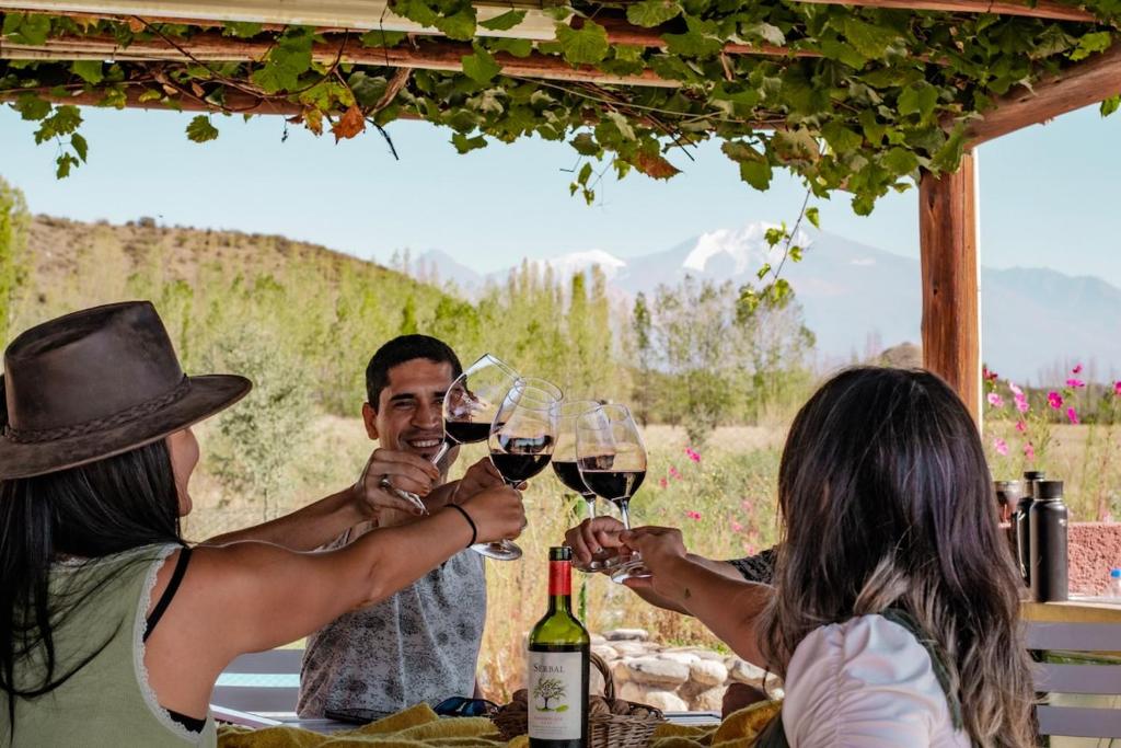 a group of people sitting at a table drinking wine at Casa de Campo Kagua Kolke 6Pax By Inside in Tupungato