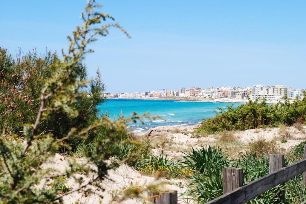 Phong cảnh thiên nhiên gần nhà nghỉ dưỡng