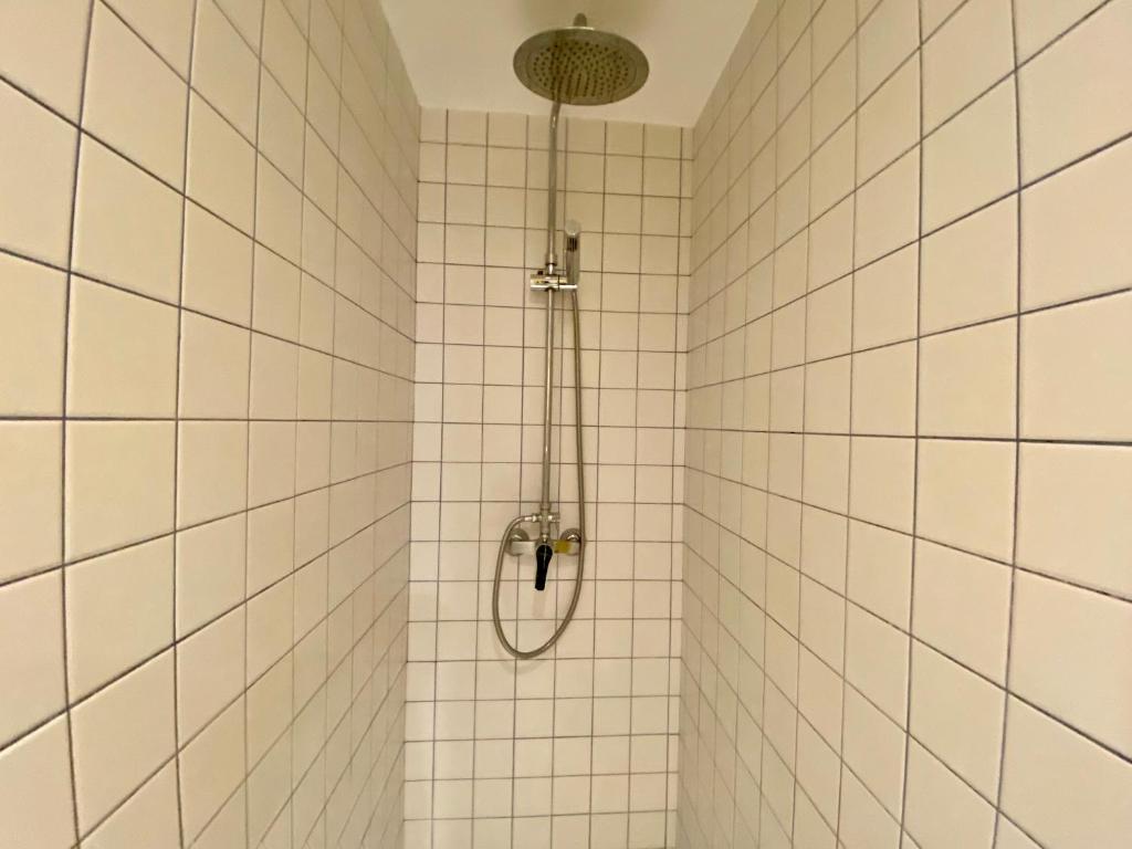 Ideas Peregrinas - 6