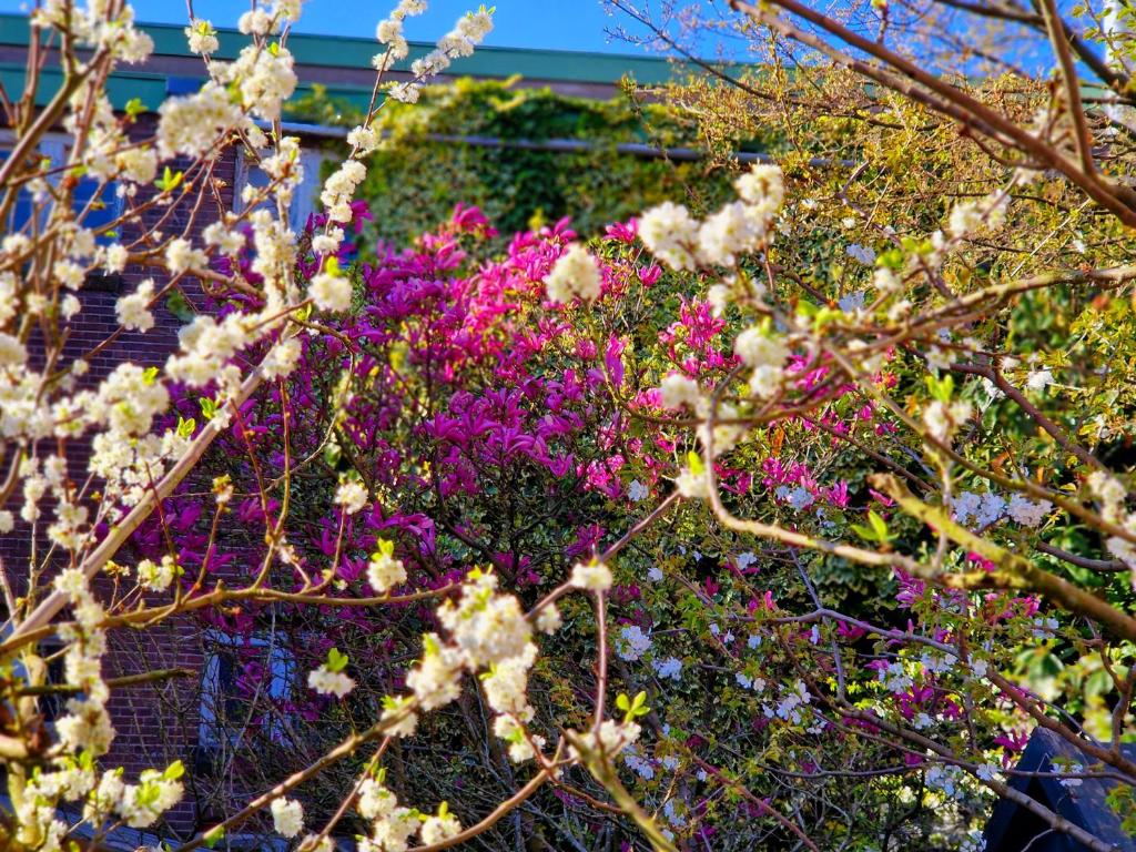 Chassé Hotel Residency - Resim 41