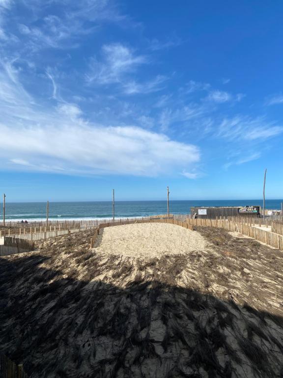 ラカノー・オセアンにあるAppartement Horizon Marin vue Océanの海を背景にした砂浜
