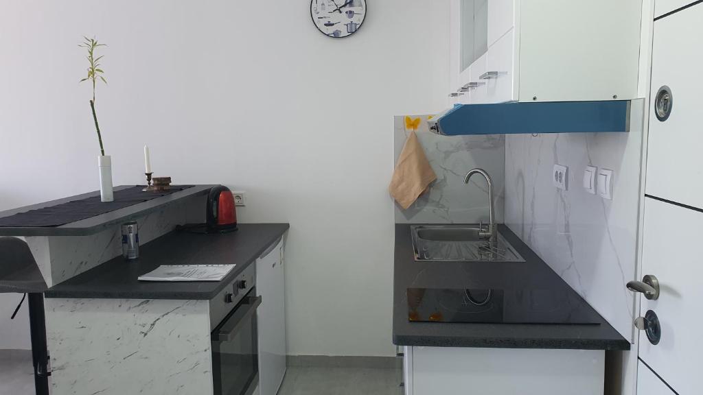een keuken met een wastafel en een klok aan de muur bij Aida in Veliko Gradište