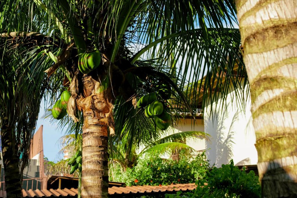 Zahrada ubytování VELINN Hotel Natureza Foz