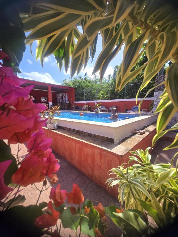 Bazén v ubytování Villa KIKI Ensenada nebo v jeho okolí