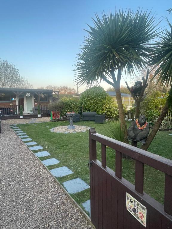 a garden with a fence and a palm tree at The Dog House in Humberston