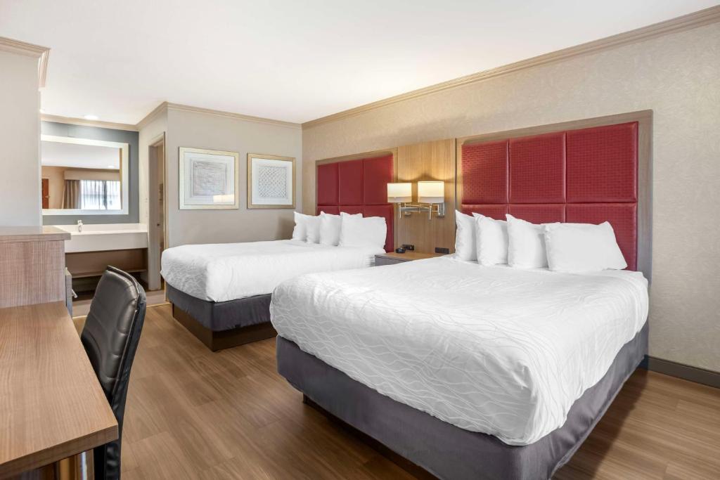 Best Western Inn Santa Cruz - Camera Queen - Non Fumatori