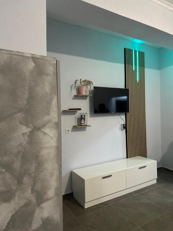 TV a/nebo společenská místnost v ubytování Central Room 2th