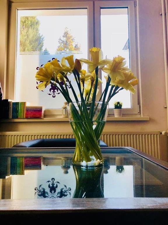 Hostel 24 - Resim 14