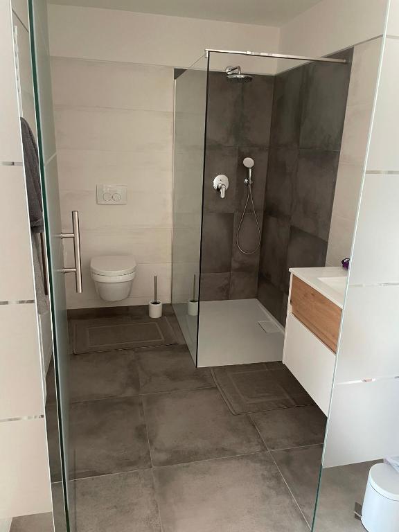 un bagno con doccia e WC di Anita’s Urlaubsplatzl a Weitra