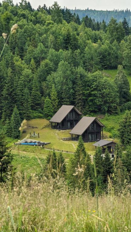 a couple of buildings in a field with trees at Cottages Shepit Lisu in Rosokhach