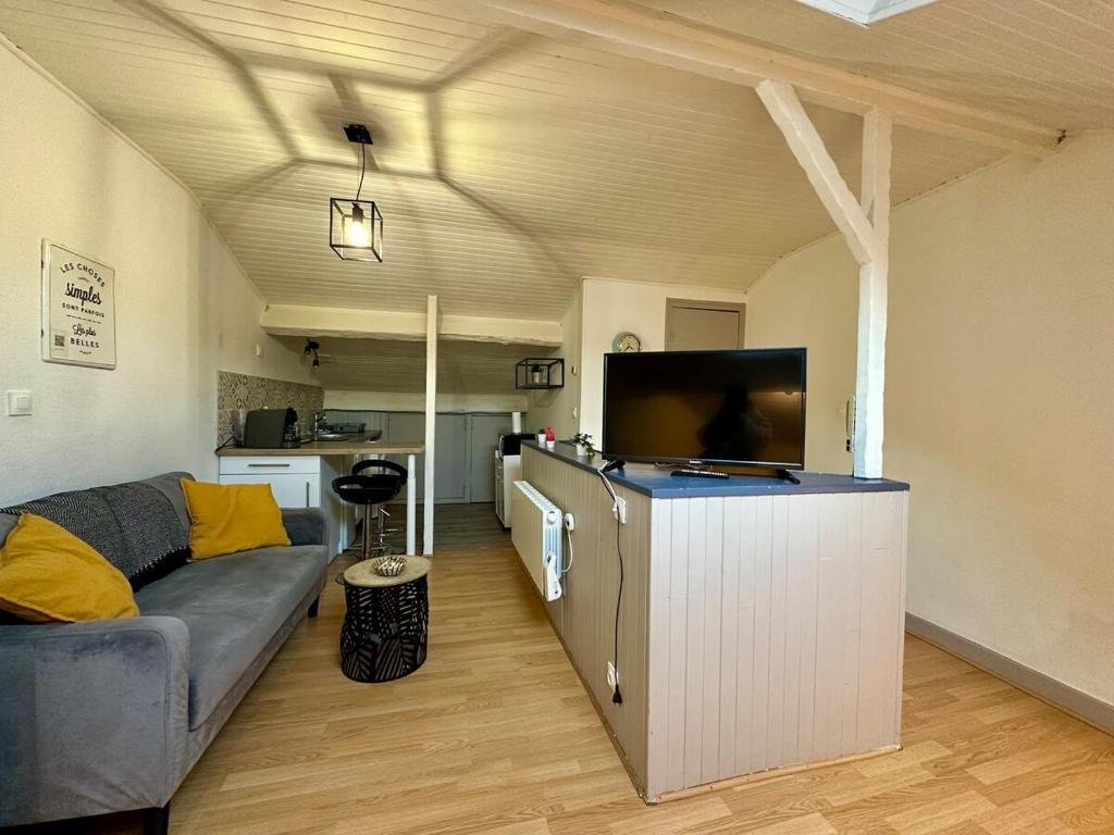 un salon avec un canapé et une télévision à écran plat dans l'établissement Le Nid de Nancy - Studio - 2 personnes - Proche Gare, à Nancy