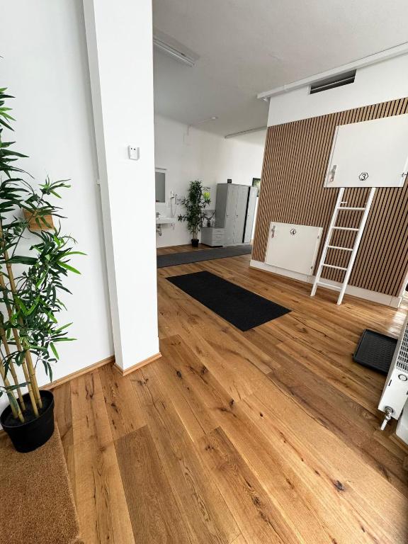 Kuchyň nebo kuchyňský kout v ubytování Robin Wood Apartment
