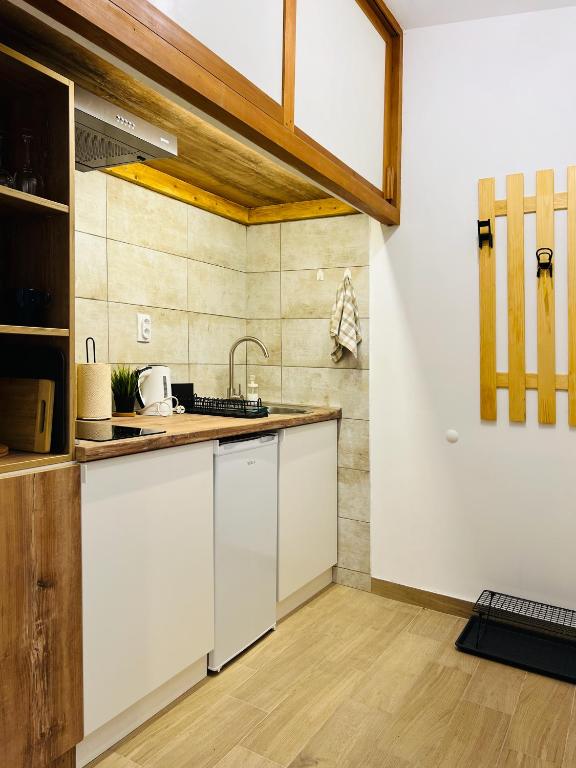 Kuchyň nebo kuchyňský kout v ubytování Studio Apartment Gradić