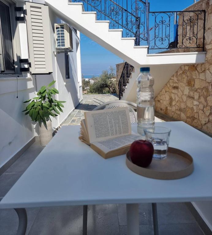 Hotel Andreas - Agistri (Skala) tesisinde bir balkon veya teras