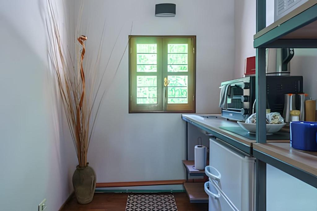 メンドーサにあるEl Diván Apartamento, Dúplex de diseño, cochera, inmejorable Ubicaciónのキッチン(電子レンジ付きカウンター、窓付)