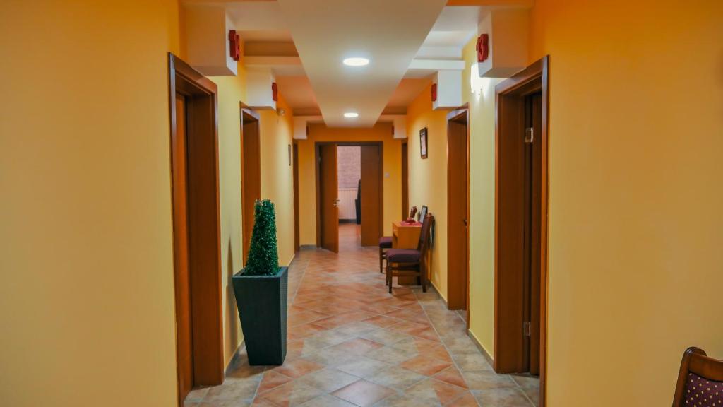 Fotografie z fotogalerie ubytování Guest House MK Star v Bělehradě