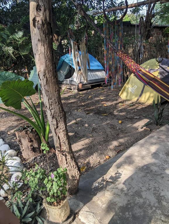 Zahrada ubytování Hostal Palomino EcoHouse & Camping