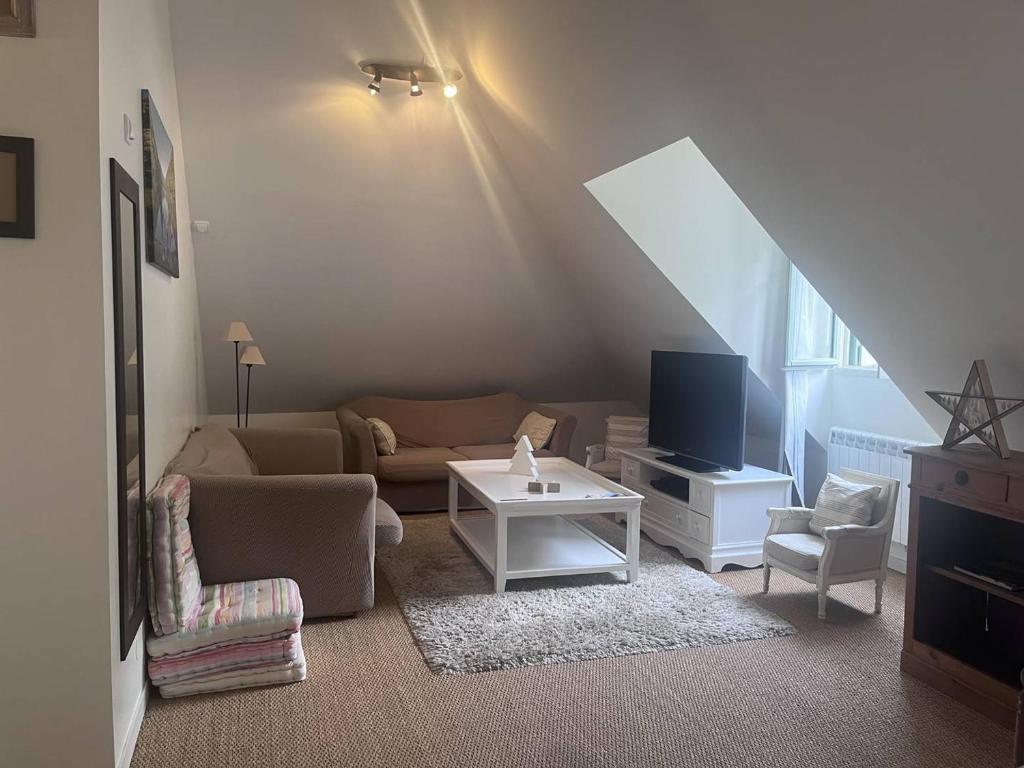 科特雷Appartement spacieux au centre de Cauterets, 6 pers., skis et parking - FR-1-812-46的客厅里有一张沙发和一台电视