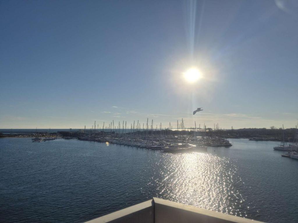 - une vue sur le port avec un oiseau survolant l'eau dans l'établissement Appartement 3 pièces - 4 pers - Vue port - FR-1-249-427, au Cap d'Agde