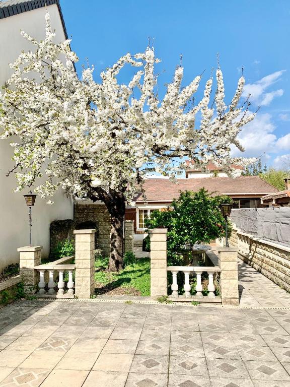 3 bedrooms house - garden - Parking, Antony Center near Paris and Orly - Villa Met Drie Slaapkamers