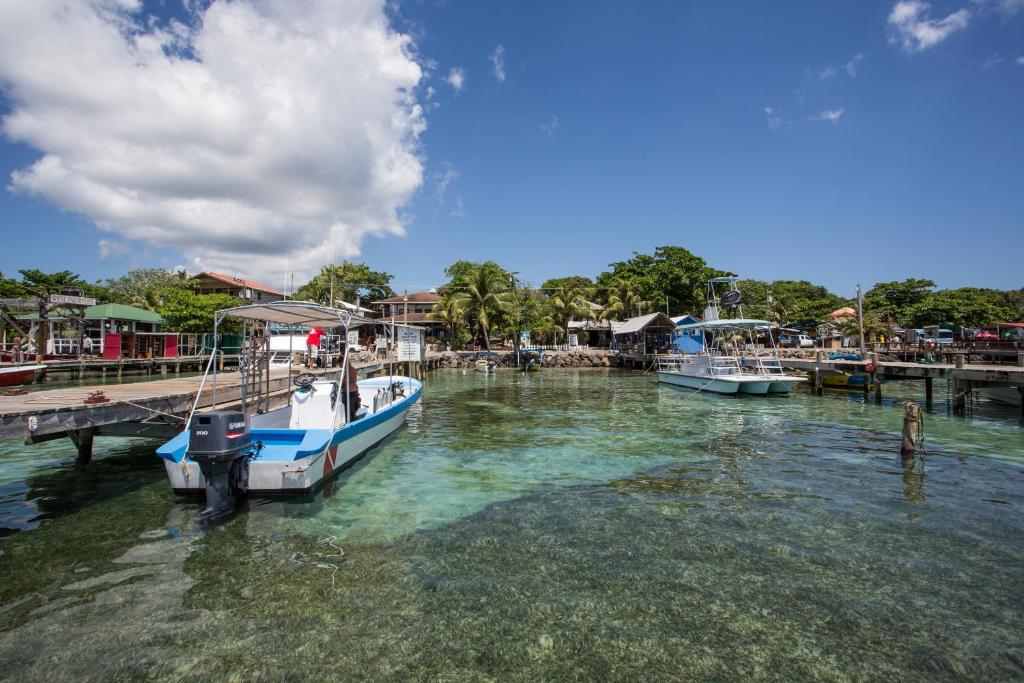 a boat is docked at a dock in the water at Splash Inn Dive Resort & Villas in West End