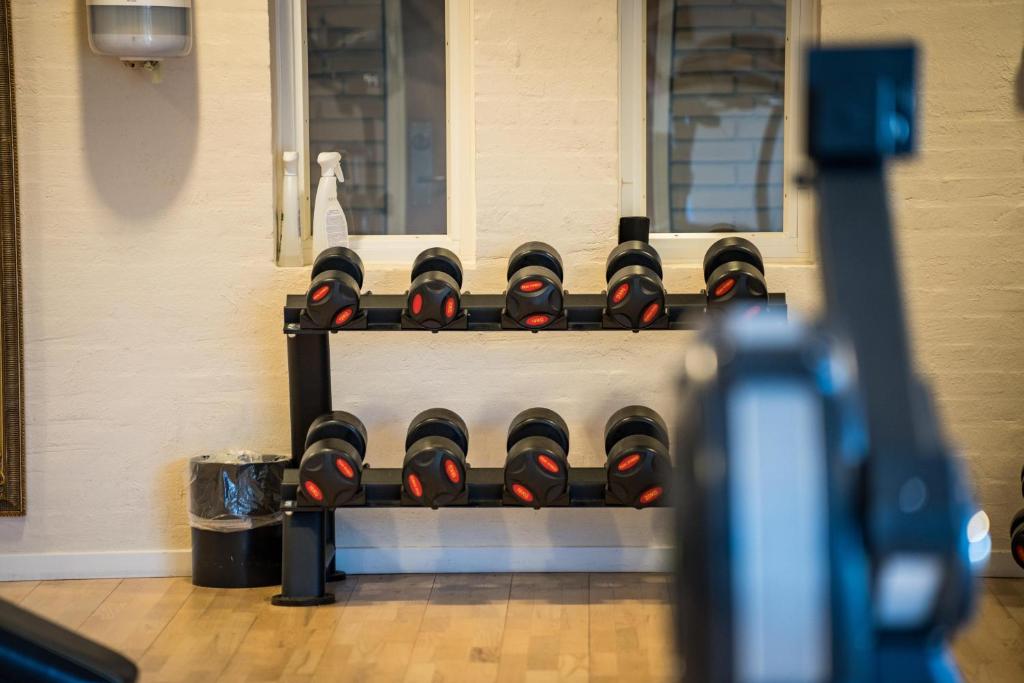 Fitness centrum a/nebo fitness zařízení v ubytování Hotel Marina