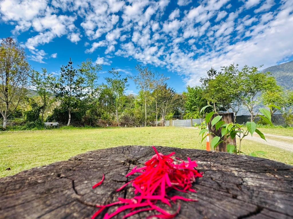 望鄉部落Go比爾民宿評價、特色體驗、房價資訊、訂房連結 – 寵物友善山林秘境 - 照片 6