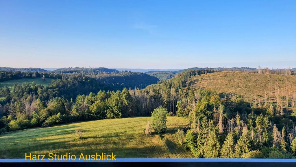 an aerial view of a green field and trees at Modernes Harz Studio Apartment Ferienwohnung über den Baumspitzen in Braunlage