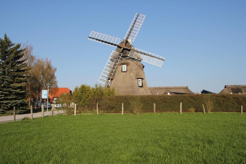 een windmolen op een weelderig groen veld bij Hotel Mecklenburger Mühle Garni in Wismar