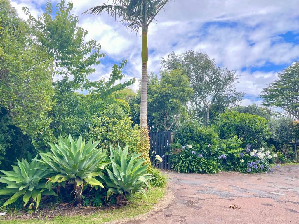 Mount Eden Motel - Resim 25