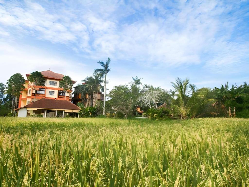 Zahrada ubytování Collection O Ubud Near Central Ubud Formerly Hotel Suly