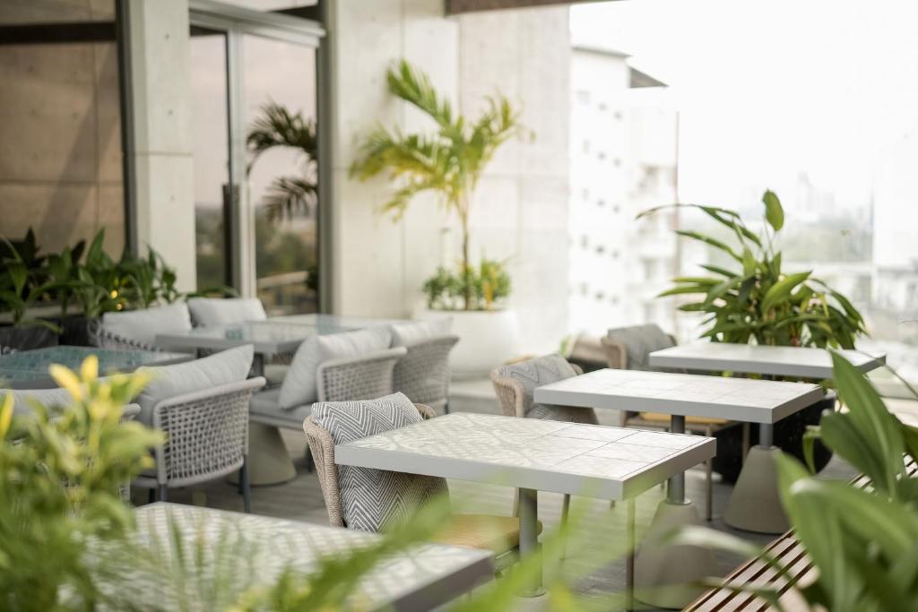 コロンボにあるSeSaya Poshtel & Bistroのギャラリーの写真