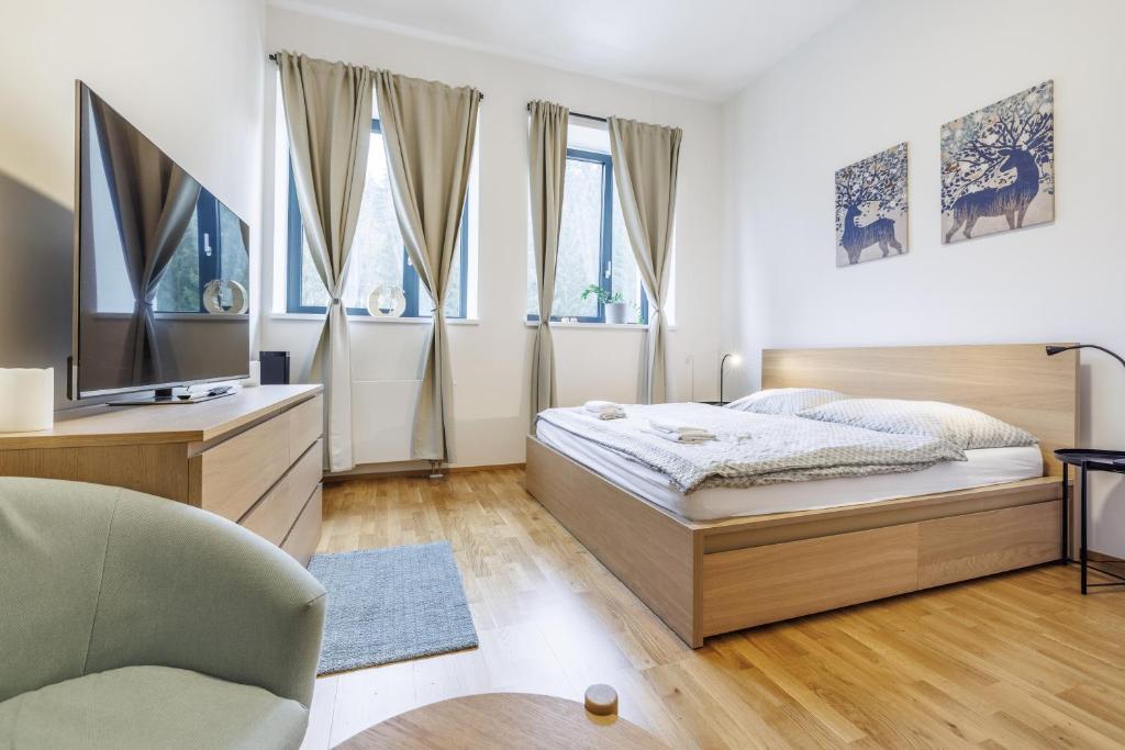 a bedroom with a bed and a tv and a chair at Jasmínový Ráj in Vítkovice