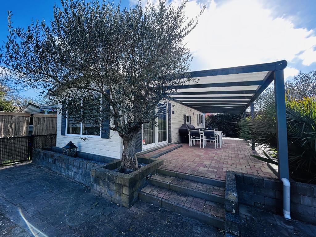 eine Terrasse mit einem Baum vor einem Haus in der Unterkunft RBR 655 - Beach Resort Kamperland in Kamperland