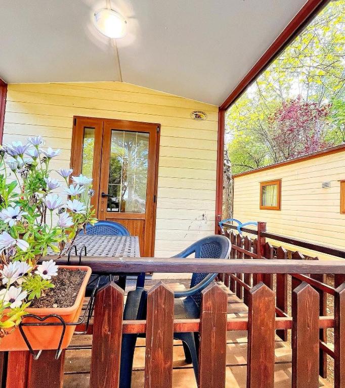Fotografie z fotogalerie ubytování CAMPING AMALASUNTA v destinaci Montefiascone