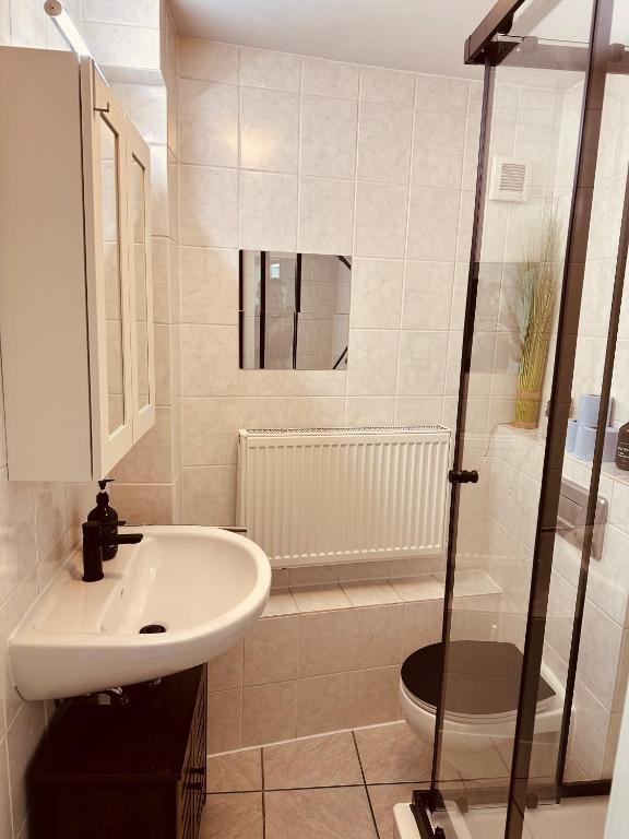 Koupelna v ubytování Gemütliche Dachgeschosswohnung